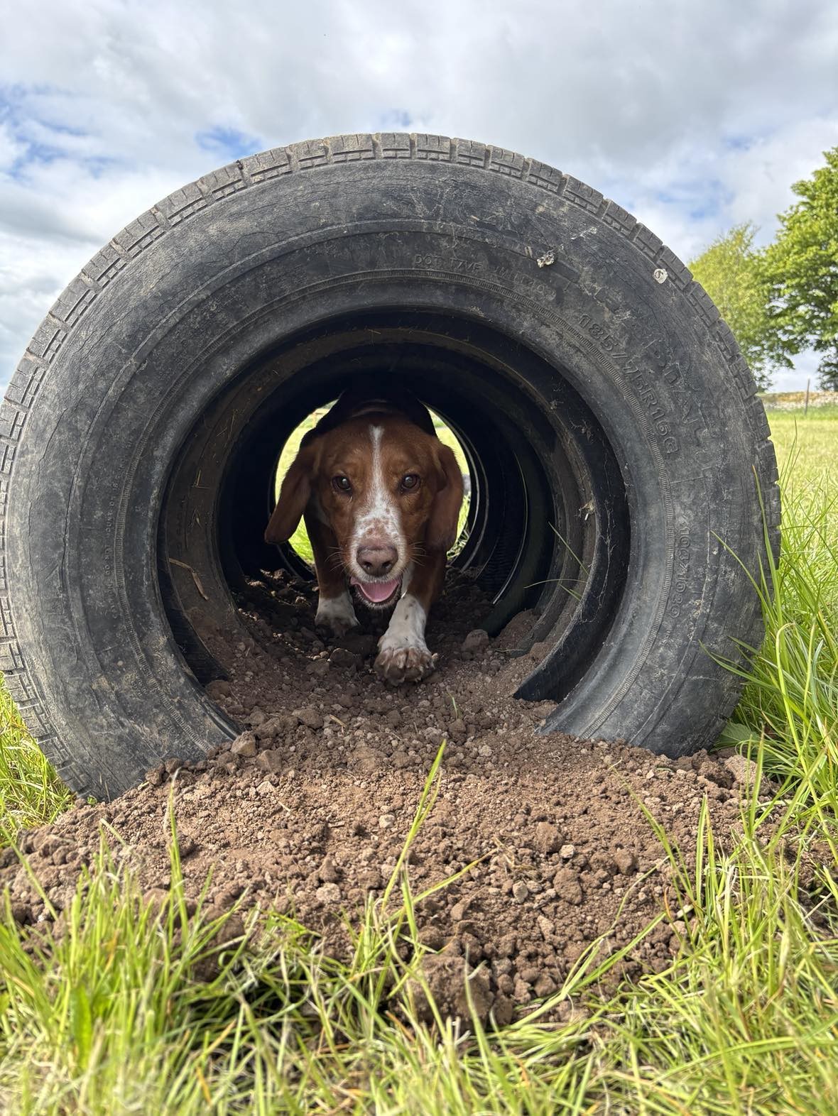 Discover new obstacles!